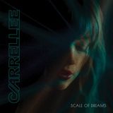 Suburban Negative Gain Productions Scale of Dreams LP