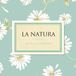 La Natura Musica Per Il Tuo Giardino