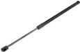 AJS Parts Gasveer achterklep OEM 1703822 Zwart 53,7 cm Geschikt voor Ford Focus
