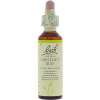 Bach Original Flower Remedies Bach Bloesem Chestnut Bud (20ml)