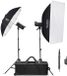 Godox SK400IIV-C Studio Flash Kit