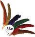 Rayher hobby materialen Rayher hobby sierveren met stippen - multi kleuren - 36x stuks - 17 tot 22 cm - veertjes