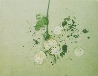 Sonic Rendezvous Everything In Slow Motion - Laid Low (12" Single) (Limited Edition) (Coloured Vinyl)