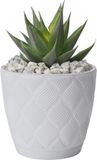 Form Plastic Plantenpot/bloempot New Age - kunststof - ivoor wit - D19 x H17 cm - met opvang schotel - rond