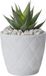 Form Plastic Plantenpot/bloempot New Age - kunststof - ivoor wit - D19 x H17 cm - met opvang schotel - rond