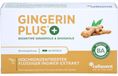 Gingerin Plus: Extrait de ginkgo liquide hautement concentré, capsules, 60 capsules