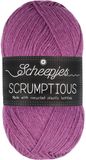 Scheepjes Scrumptious - 312 Blackberry Honey Gelato