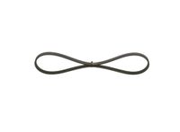 BOSCH Keilrippenriemen 1987947884