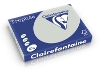 Clairefontaine Gekleurd Papier Lichtgrijs A3 - 500 Vel