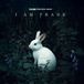 I Frank From Blue Velvet - I Am Frank (LP) (Coloured Vinyl)
