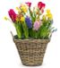 Mega Collections Plantenmand - D50 x H40 cm - Rotan