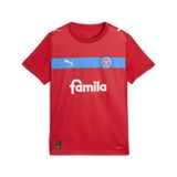 PUMA Functioneel shirt ' Holstein Kiel 25/26' blauw / rood / wit