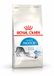 Royal Canin Indoor - Kattenvoer - 4 kg