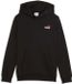 Puma Ess 2 Color Small No. 1 Logo Hoodie Fl B Kinderen