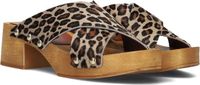 Notre-V 8782 Muiltjes Dames Beige Maat 37