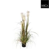 Mica Decorations Pluimgras Foxtail - 120 cm - Groen