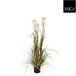 Mica Decorations Pluimgras Foxtail - 120 cm - Groen