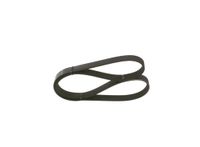 BOSCH Keilrippenriemen 1987947817