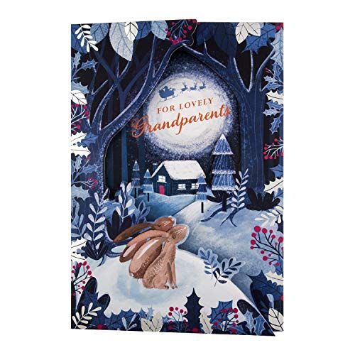 Hallmark Kerstkaart voor grootouders - 3D Effect - 2022