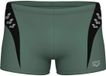 Arena Zwemshort Step Logo Mannen Salie/Zwart