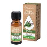 Vera Nord, Huile essentielle, Sauge, 10 ml