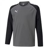 Puma Teamliga Sweater Kinderen - Grijs