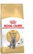 Royal Canin British Shorthair - Kattenvoer Brokjes - 2 kg