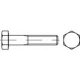 TOOLCRAFT TO-5365587 Zeskantbout M12 120 mm Buitenzeskant RVS A4 25 stuk(s)