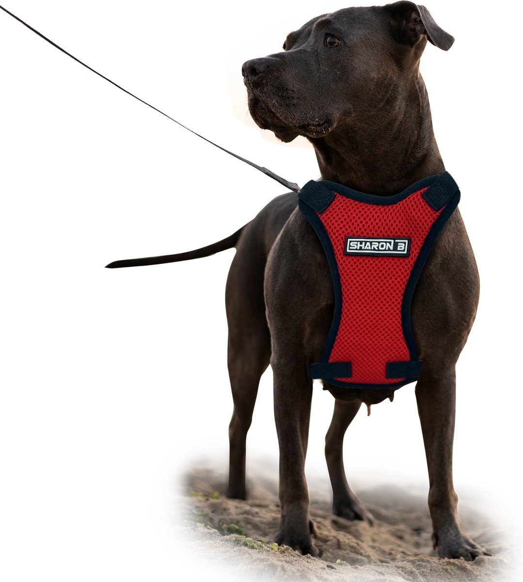 Sharon B - hondentuig - hondenharnas - rood - M - voor middelgrote honden rood