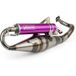 Yasuni Pot d'échappement R-Pro Piaggio Zip Violet