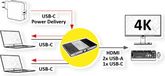 ROLINE KVM-switch, HDMI 4K, USB, 1 gebruiker - 2 mobiele apparaten