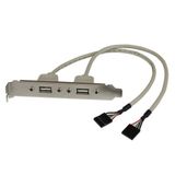 StarTech.com USB A IDC Slotplaatje - USBPLATE