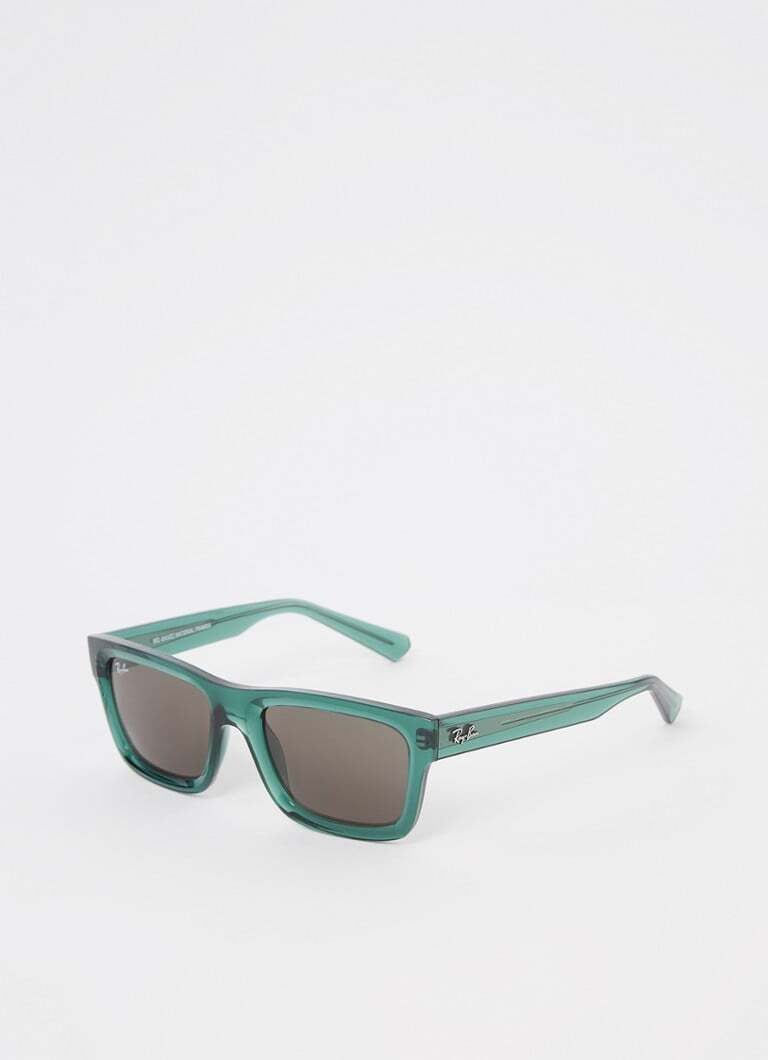 Ray-Ban Ray-Ban Warren zonnebril gepolariseerd RB4396