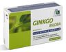 Avitale Ginkgo 100 mg Kapseln + B1, C + E, 48 Stück, 1er Pack (1 x 28 g)