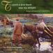 To Various Artists - To Catch A Fine Buck Was My Delight (CD)