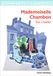 Mademoiselle Chambon Paperback
