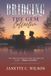 Bridging Gems Collection- Bridging Paperback