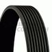 ContiTech 8PK880 STRIEE riem