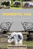 Domestic Yak: Life, Strength, and Human Symbiosis on the Roof of the World
