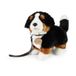 Pluche Berner 22 cm ECO-VRIENDELIJK | 2 stuks