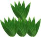 Set Zongzi pour sushi - Décorations en feuille de bananier - Vaisselle pour fêtes