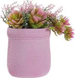 DKD Home Decor Decoratieve plant Roze EVA PE (17.5 x 14 x 20 cm) (2 Stuks)