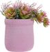 DKD Home Decor Decoratieve plant Roze EVA PE (17.5 x 14 x 20 cm) (2 Stuks)