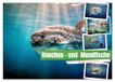 Knochen Calvendo Knochen - und Mondfische (Wandkalender 2027 DIN A2 quer)
