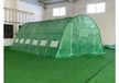 GreenProtect Film de protection pour serre à film 4x6 m – Film de grille PE 140 g/m² avec filtre UV