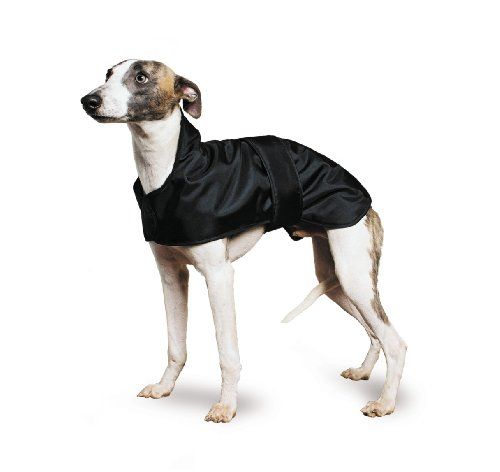 Ancol Muddy Paws Greyhound Whippetjas - Maat M (43 cm) - Zwart