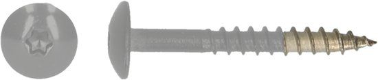 pgb-Europe PGB-FASTENERS HPL schroef Tx20 4,8x38 R9006 A4
