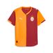 PUMA Galatasaray SK 25/26 Authentic thuisshirt voor Heren, Rood/Oranje, Maat 3XL