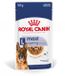 Royal Canin Maxi Adult