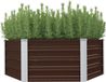 Bac à fleurs hexagonal - 129x129x45 cm - Brun - Acier revêtu - Jardinière surélevée avec bord de sécurité - Jardinières durables pour légumes et fleurs